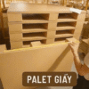 Pallet giấy 2 sp4