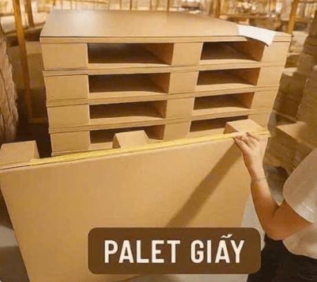 Pallet giấy